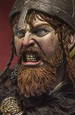 Viking Fury