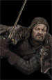 Warrior of the North